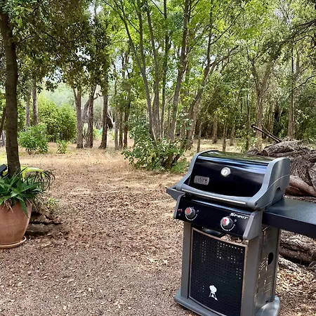 Porto-vecchio Lägenhet *