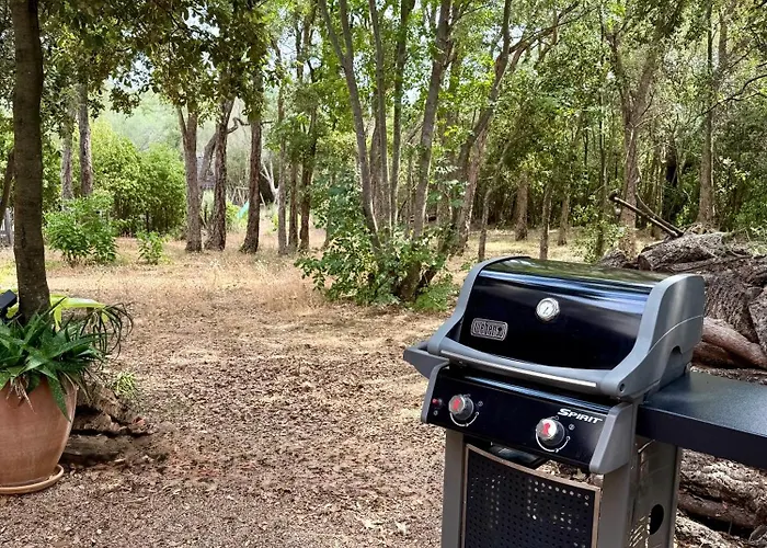 Porto-vecchio Appartement *